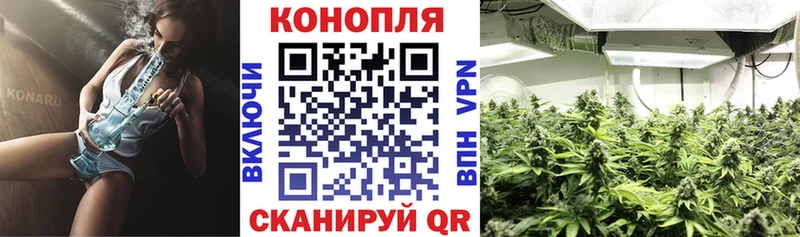 Шишки марихуана White Widow  магазин  наркотиков  даркнет формула  Зеленокумск 